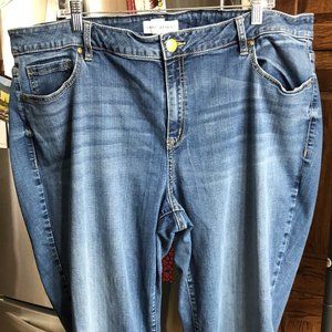 Lane Bryant Jeans